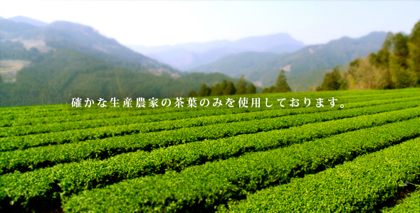 確かな生産農家の茶葉のみを使用しております。